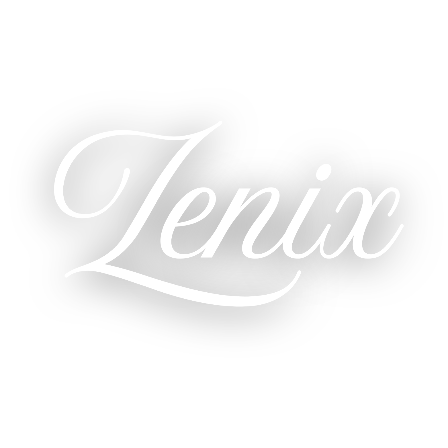 Zenix Store